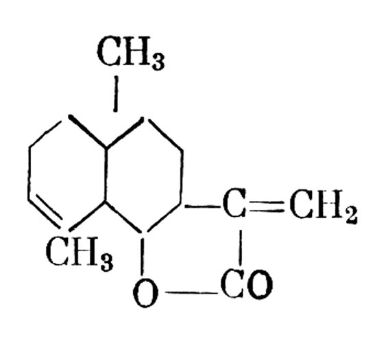 Геленин (алантолактон) является лактоном алантовой кислоты